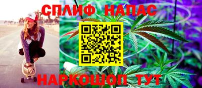 гидропоника Канаш